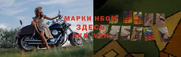 мяу мяу мука Нязепетровск