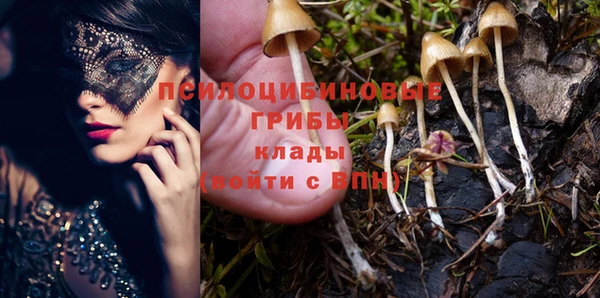 мяу мяу мука Нязепетровск
