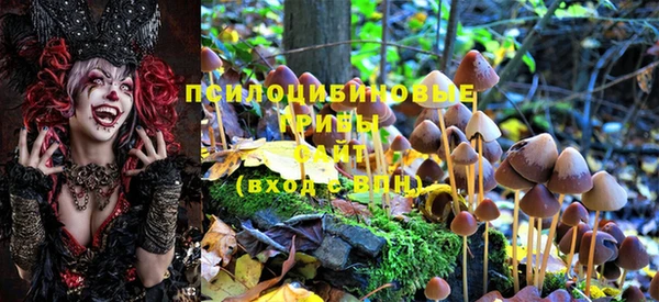 мяу мяу мука Нязепетровск