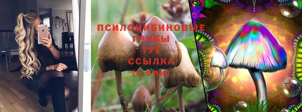 mdma Няндома