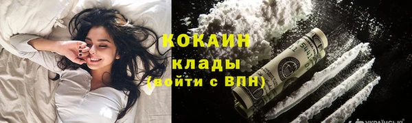 шишки Новокубанск