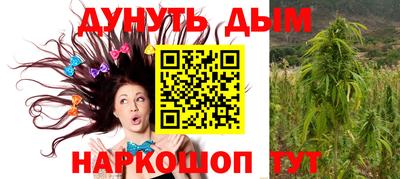 МДПВ Дубна
