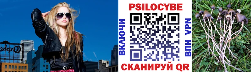 как найти закладки  Тула  Псилоцибиновые грибы Psilocybine cubensis 